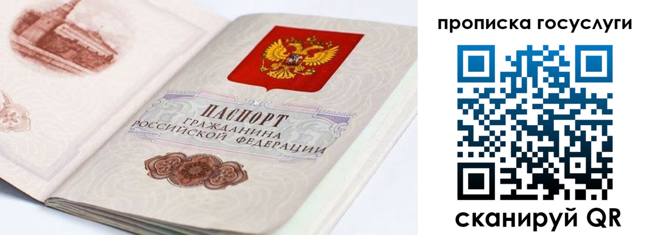 прописка гарантия в Чечне